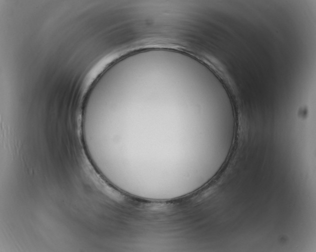 X0000112151188200908070955