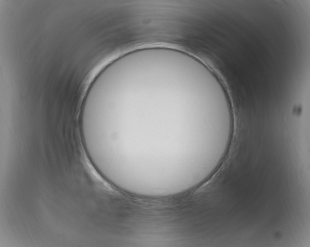 X0000112151189200908070955