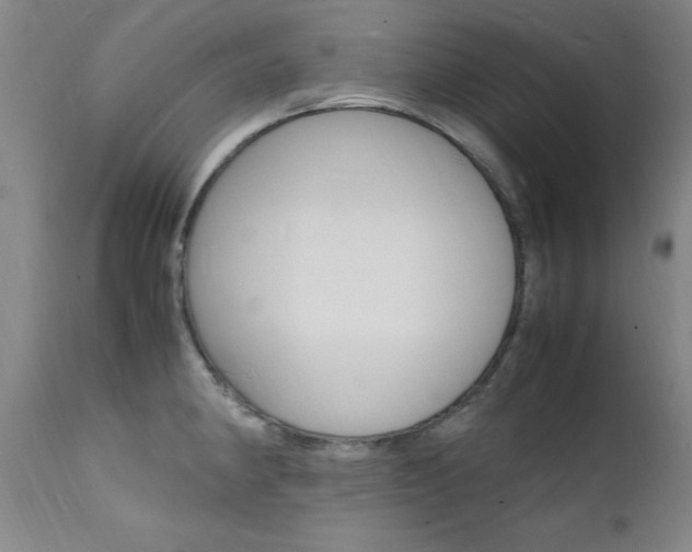 X0000112151190200908070955