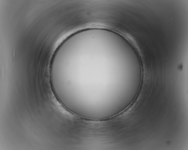 X0000112151192200908070955