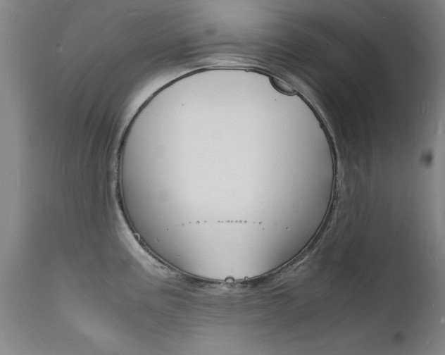 X0000112151195200908070955
