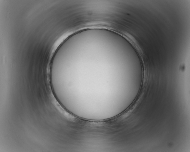 X0000112151196200908070955