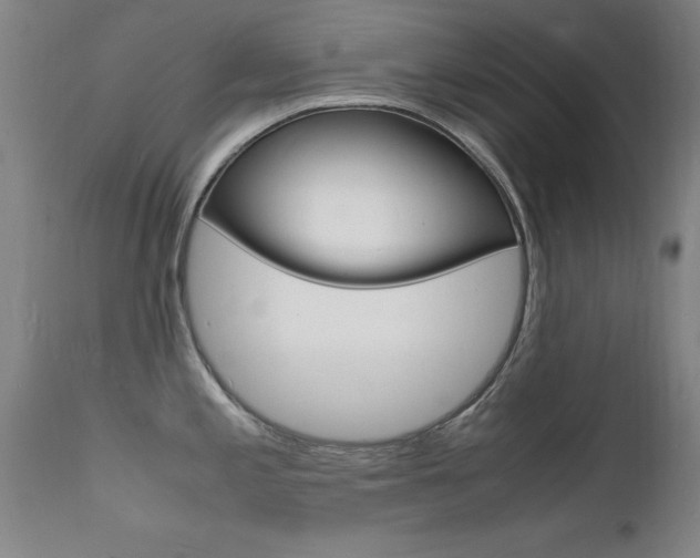X0000112151197200908070955