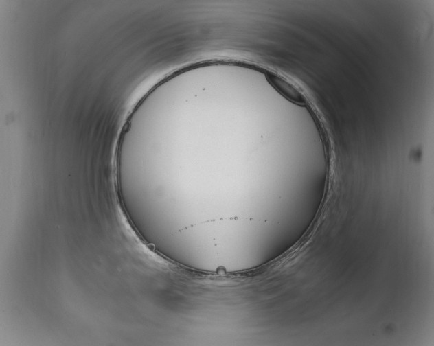 X0000112151199200908070955