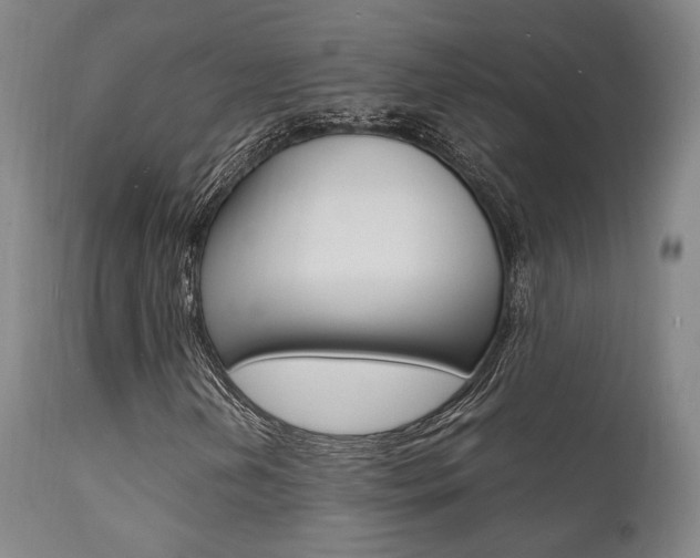X0000112151202200908070954