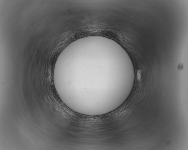 X0000112151203200908070954