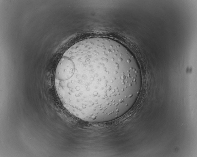 X0000112151205200908070954