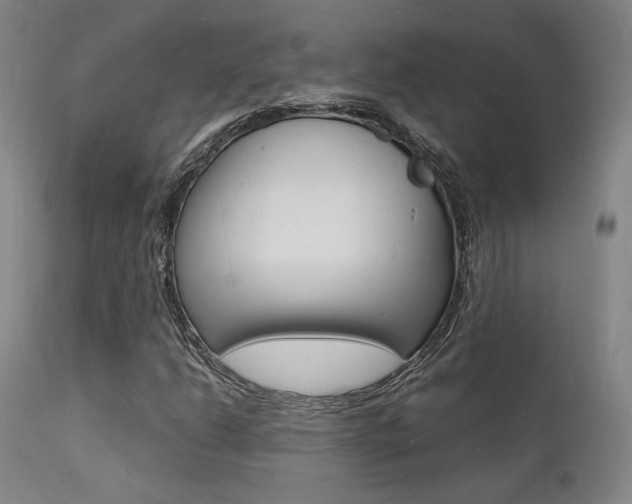 X0000112151206200908070954