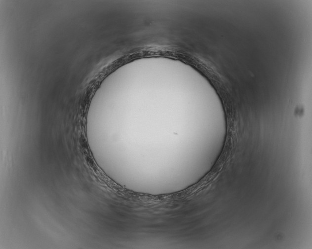 X0000112151207200908070954