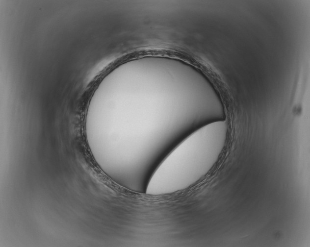 X0000112151208200908070954