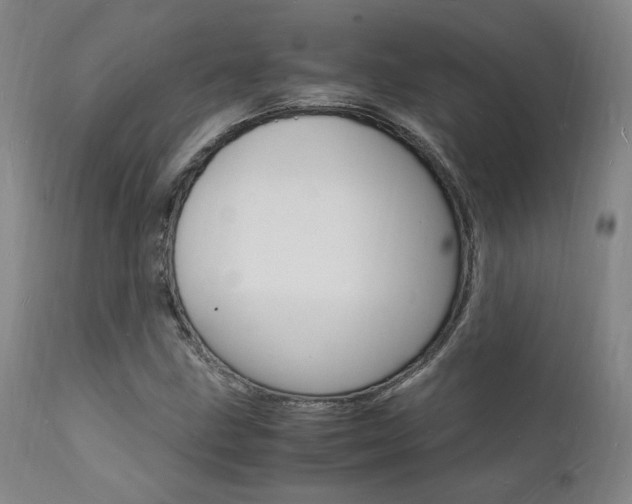 X0000112151211200908070954