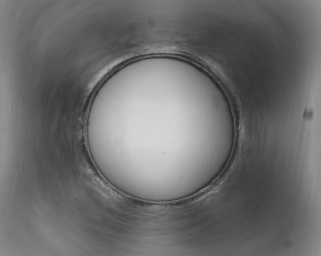 X0000112151212200908070954