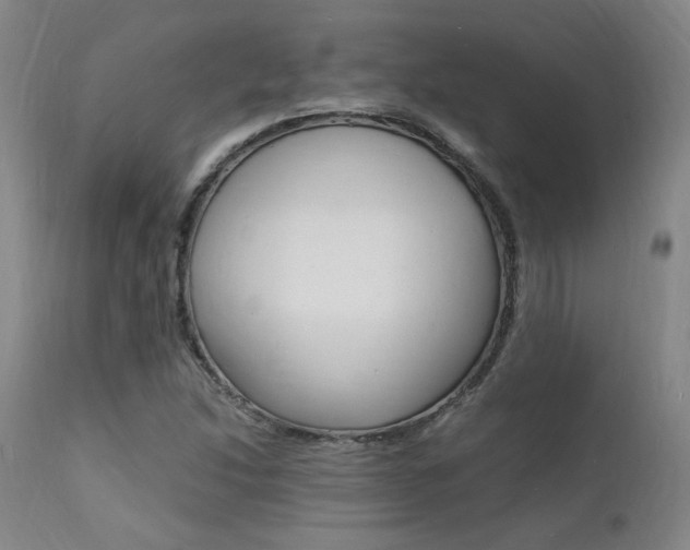 X0000112151214200908070955