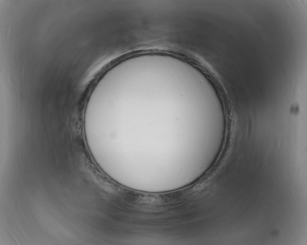 X0000112151215200908070955