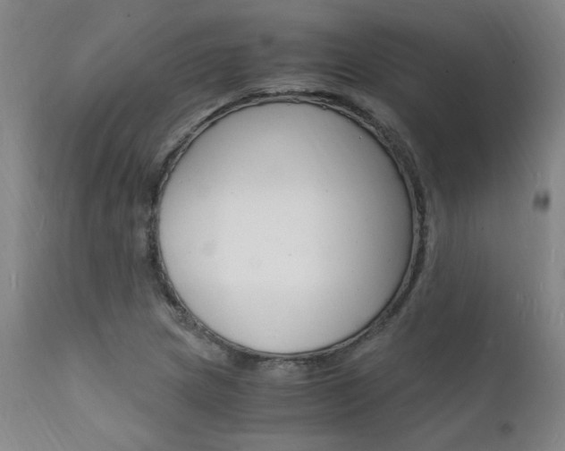 X0000112151217200908070955