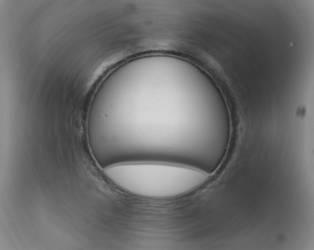X0000112151218200908070955