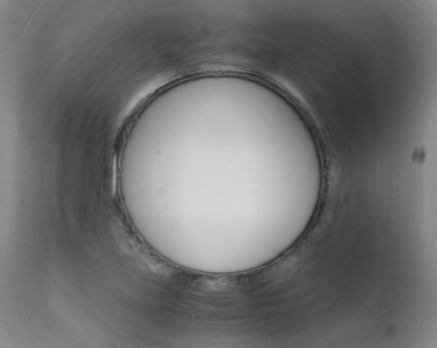 X0000112151219200908070955