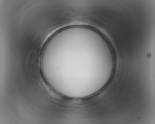 X0000112151220200908070955