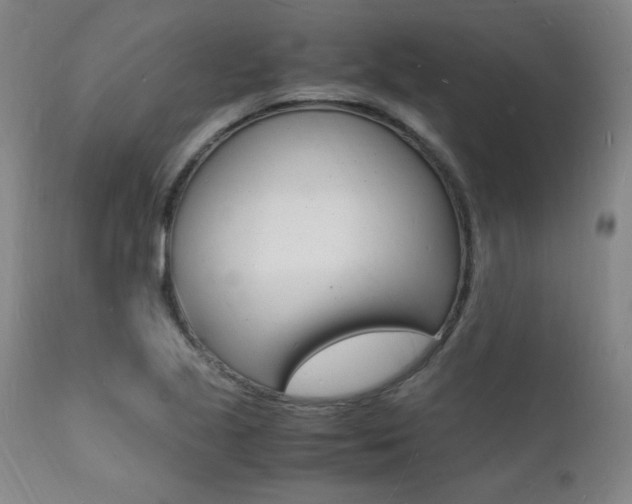 X0000112151221200908070955