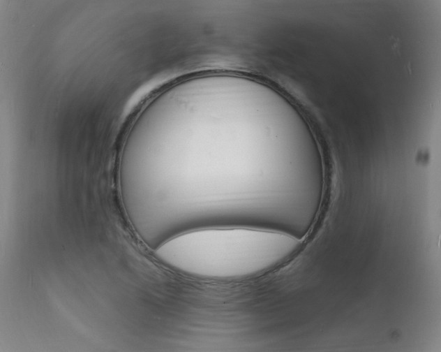 X0000112151222200908070955