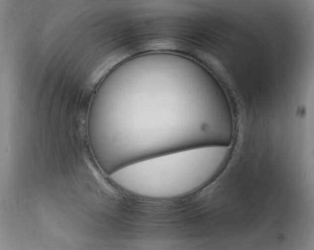 X0000112151225200908070955