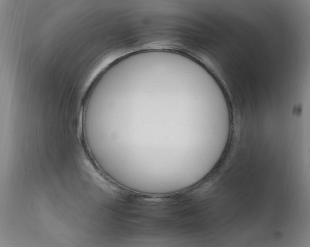 X0000112151227200908070955