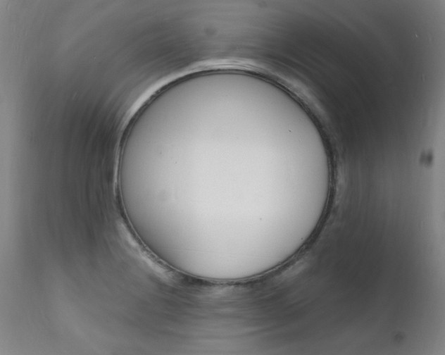 X0000112151228200908070955
