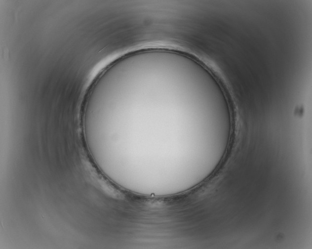 X0000112151230200908070955