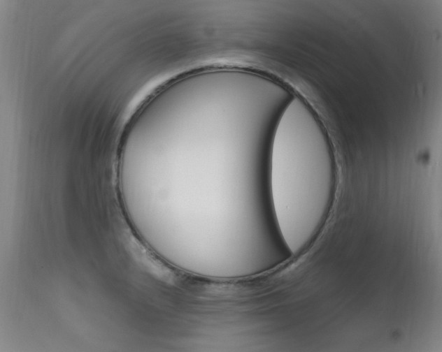 X0000112151232200908070955