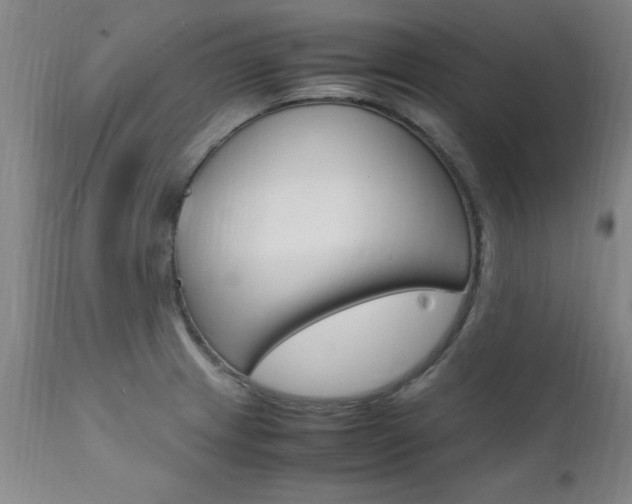 X0000112151233200908070955