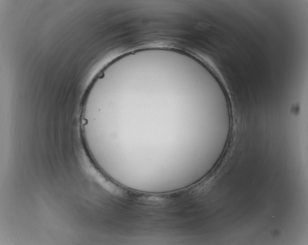 X0000112151235200908070955
