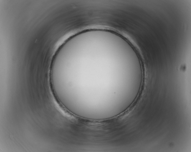X0000112151237200908070955