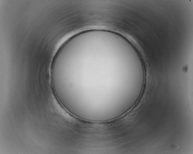 X0000112151238200908070955