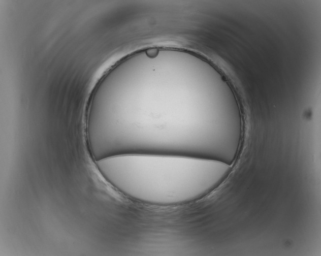 X0000112151240200908070955
