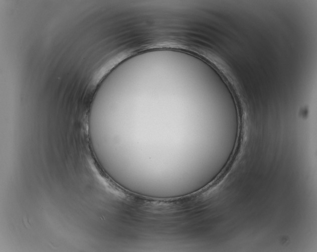 X0000112151241200908070955