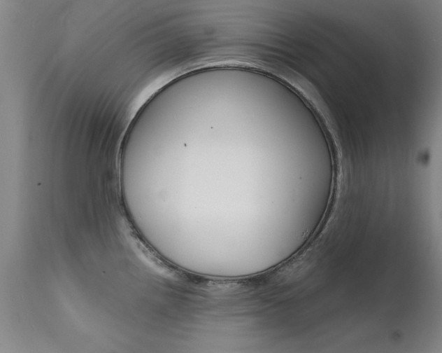 X0000112151242200908070955