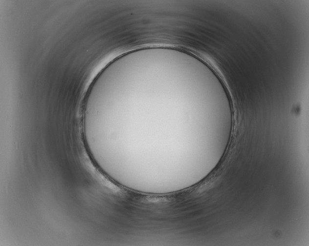 X0000112151243200908070955