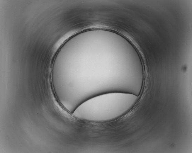 X0000112151245200908070955