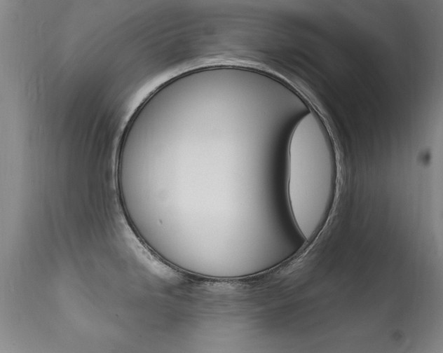 X0000112151246200908070955