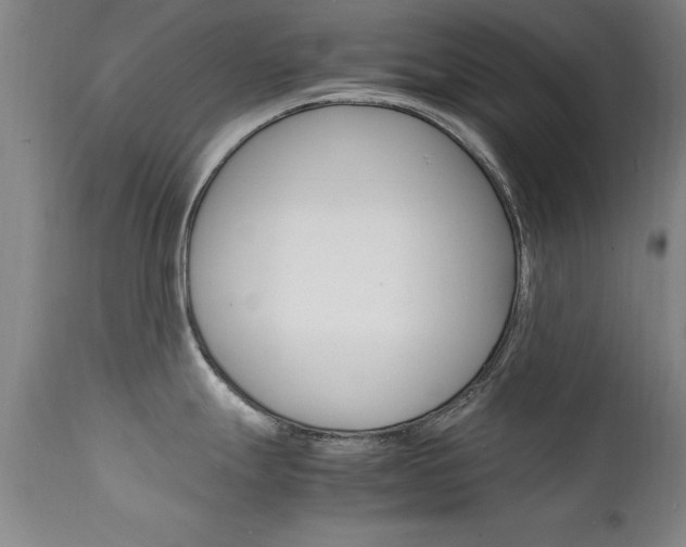 X0000112151247200908070955