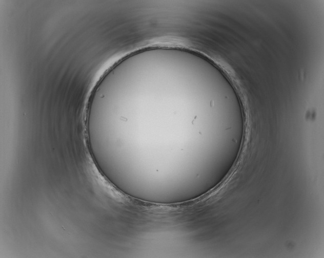 X0000112151248200908070955