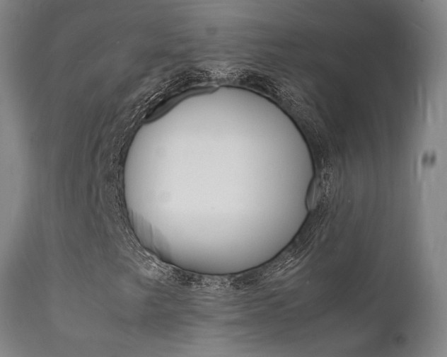 X0000112151249200908070954