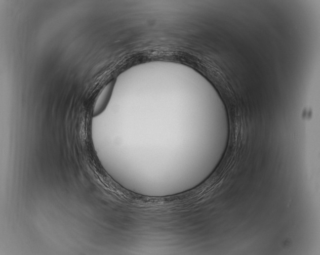 X0000112151250200908070954