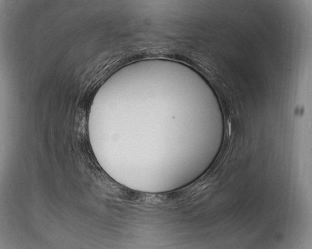 X0000112151251200908070954