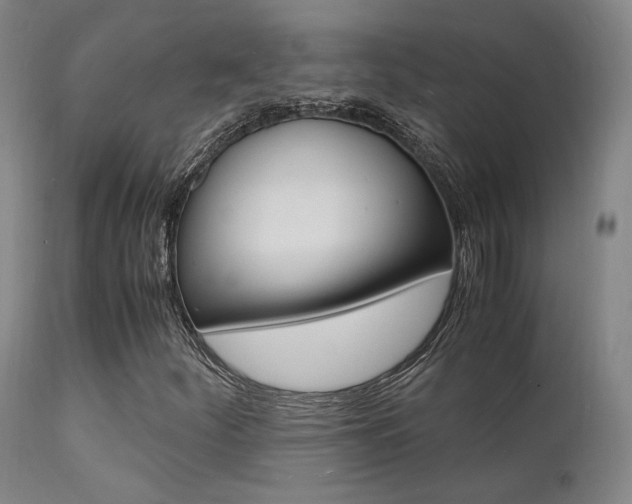 X0000112151252200908070954