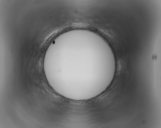 X0000112151254200908070954
