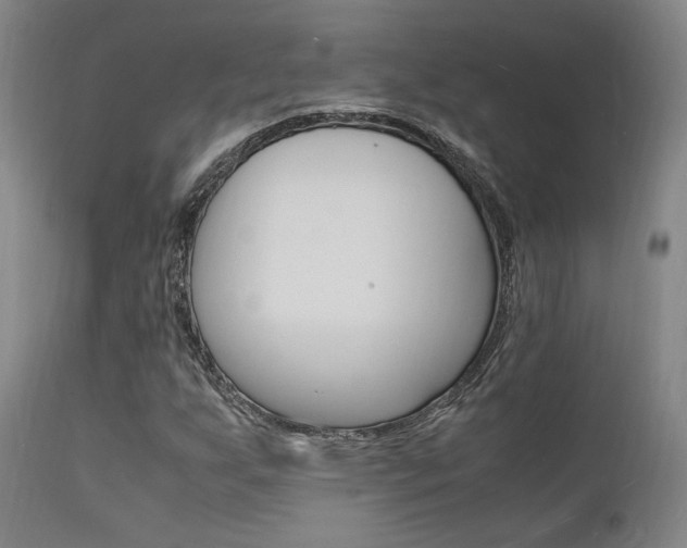 X0000112151255200908070954