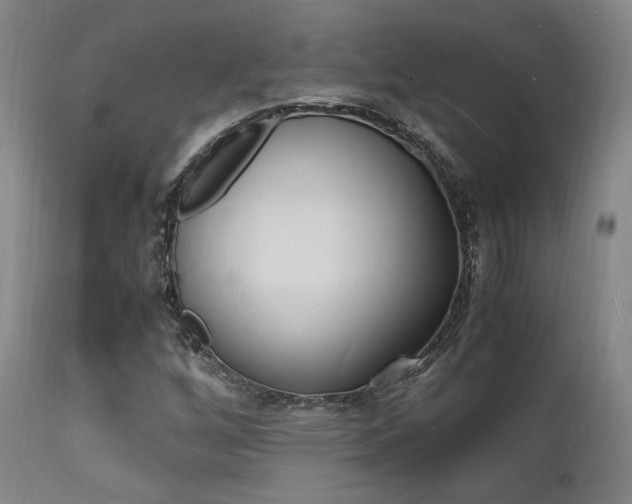 X0000112151256200908070954