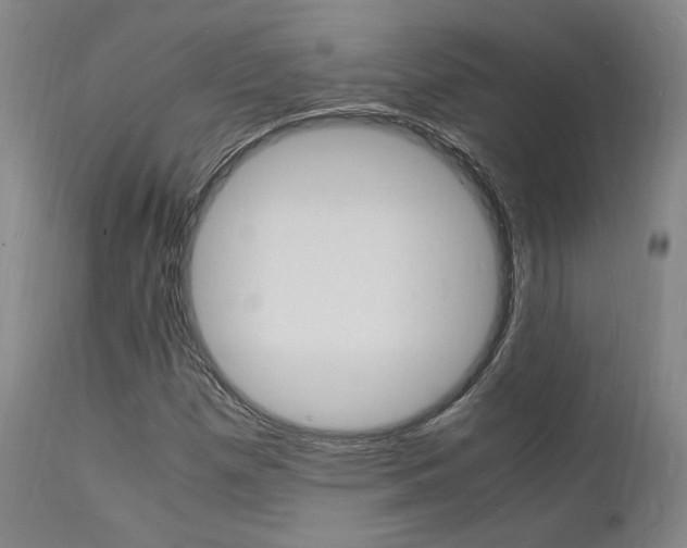 X0000112151257200908070954