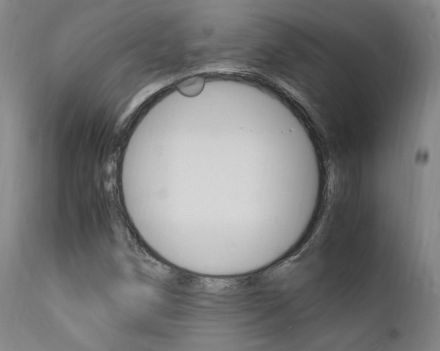 X0000112151258200908070954